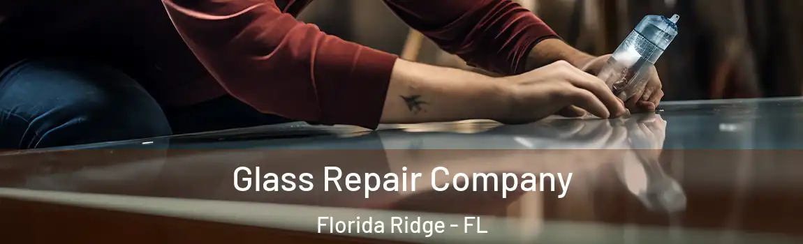  Glass Repair Company Florida Ridge - FL