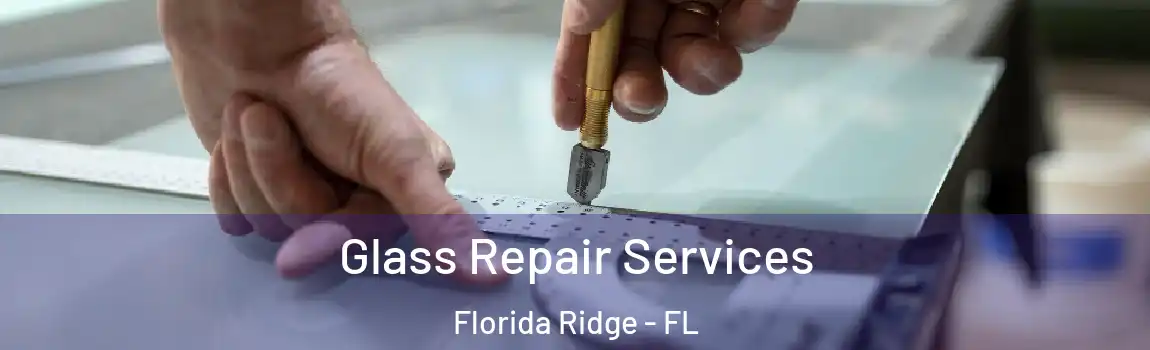  Glass Repair Services Florida Ridge - FL